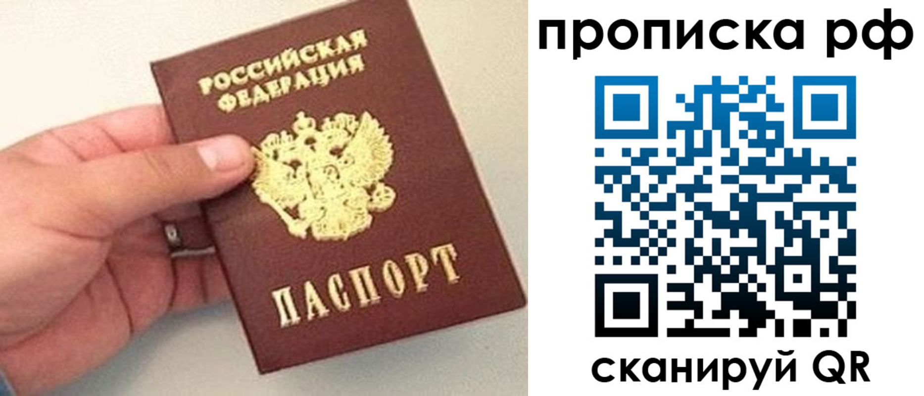 временная регистрация для всех в Алексине